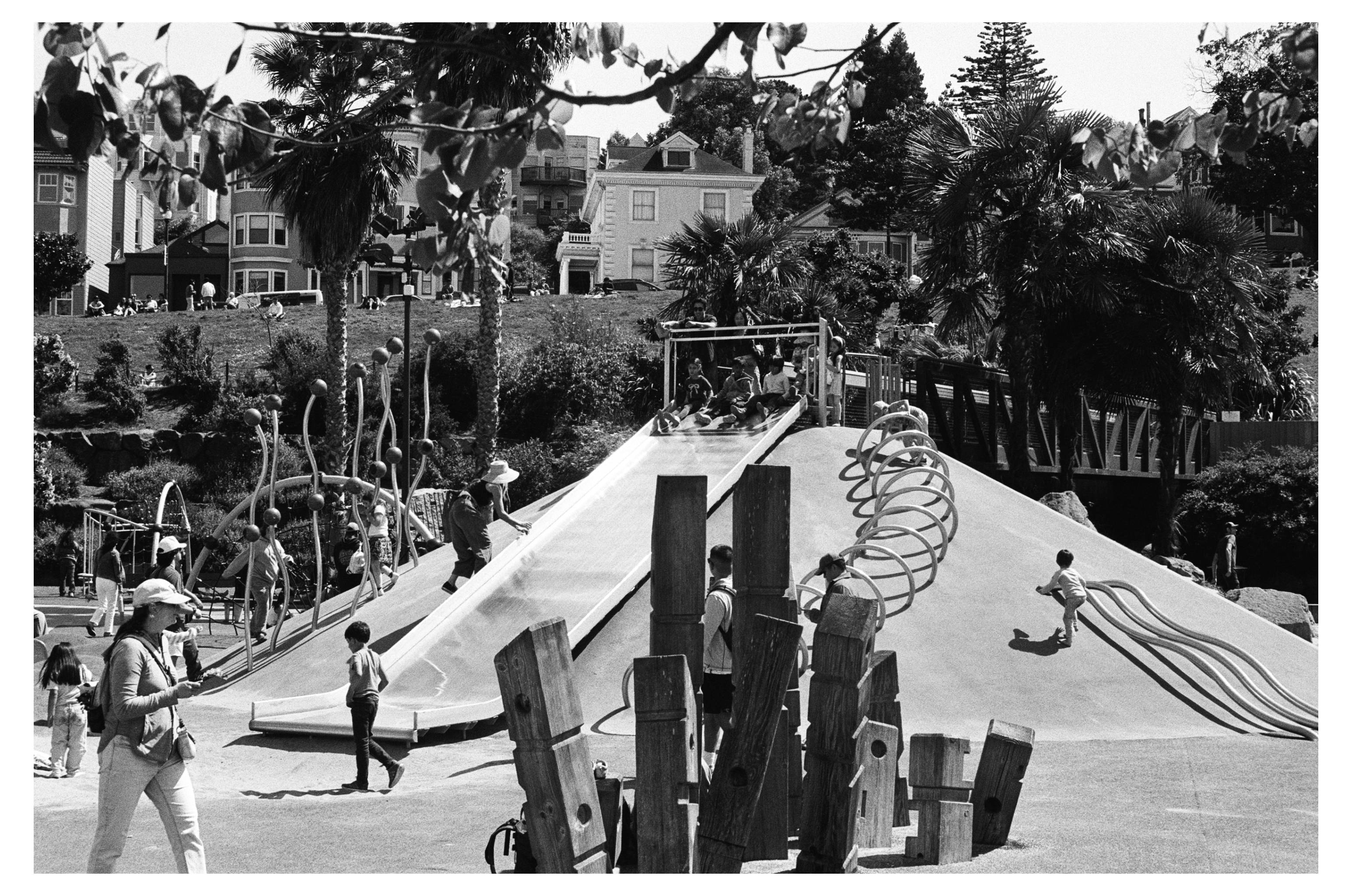 pic-from-NikonF3