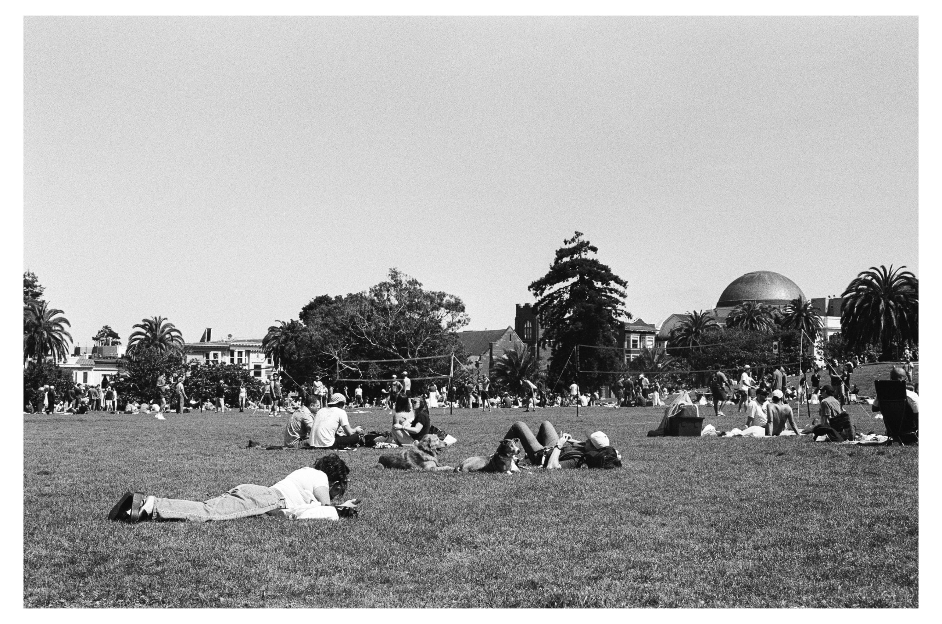 pic-from-NikonF3