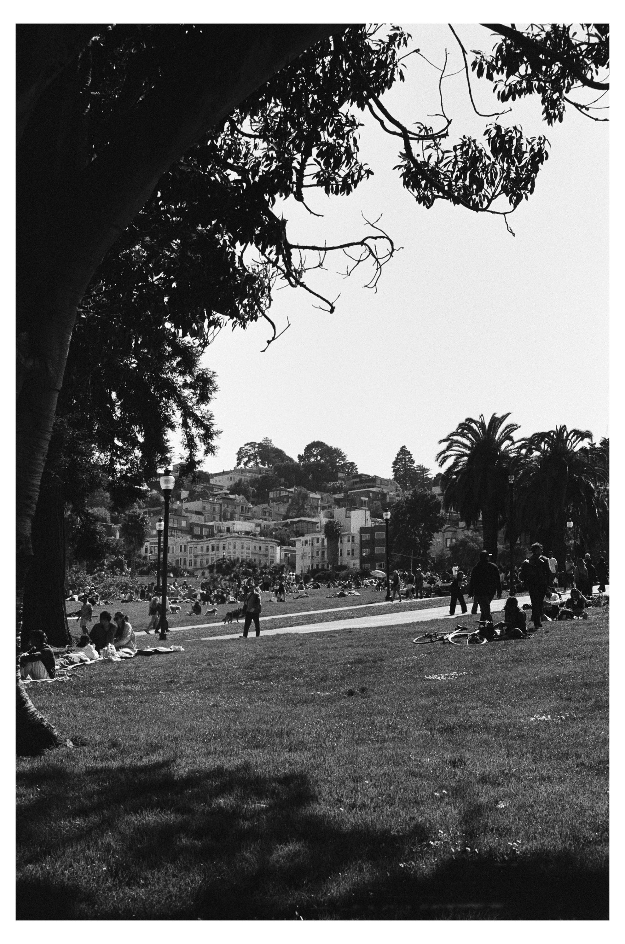 pic-from-NikonF3